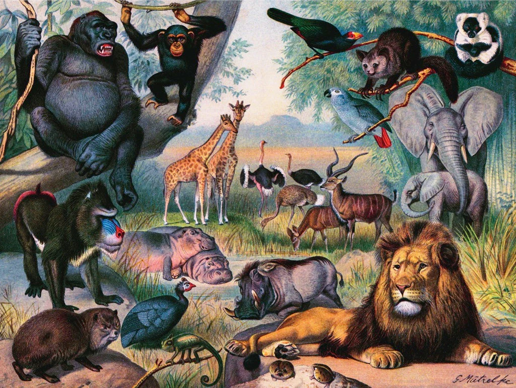 ANIMALS OF AFRICA 1000 PIECE JIGSAW PUZZLE - Image 4