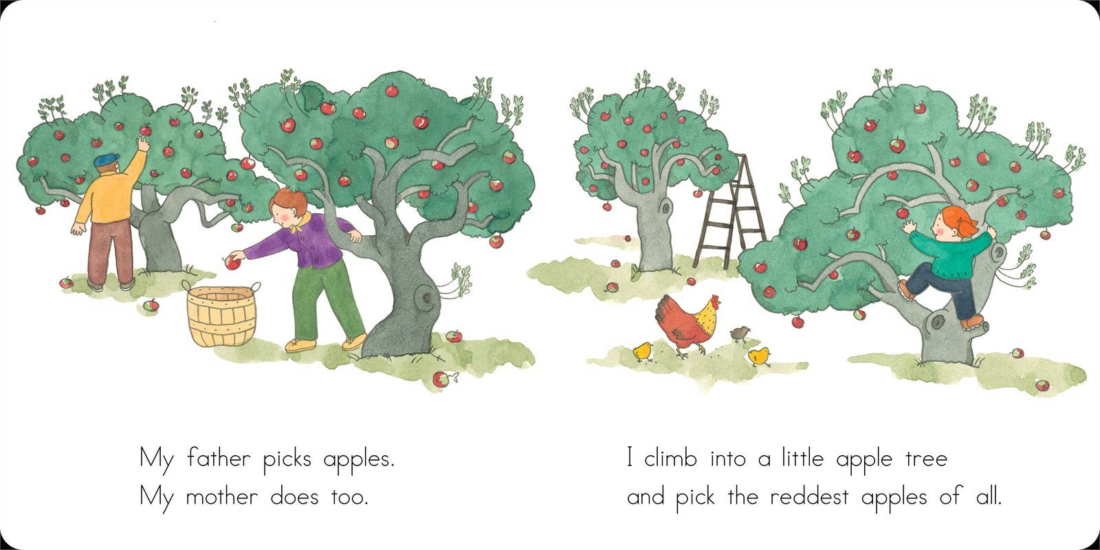 Apples and Pumpkins by Anne Rockwell: Board Books; 28 pages / English - Image 3