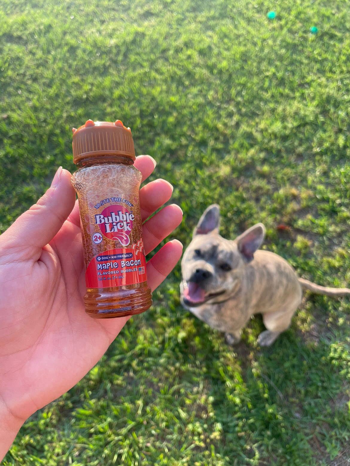 BubbleLick™ Pets Maple Bacon - Image 6