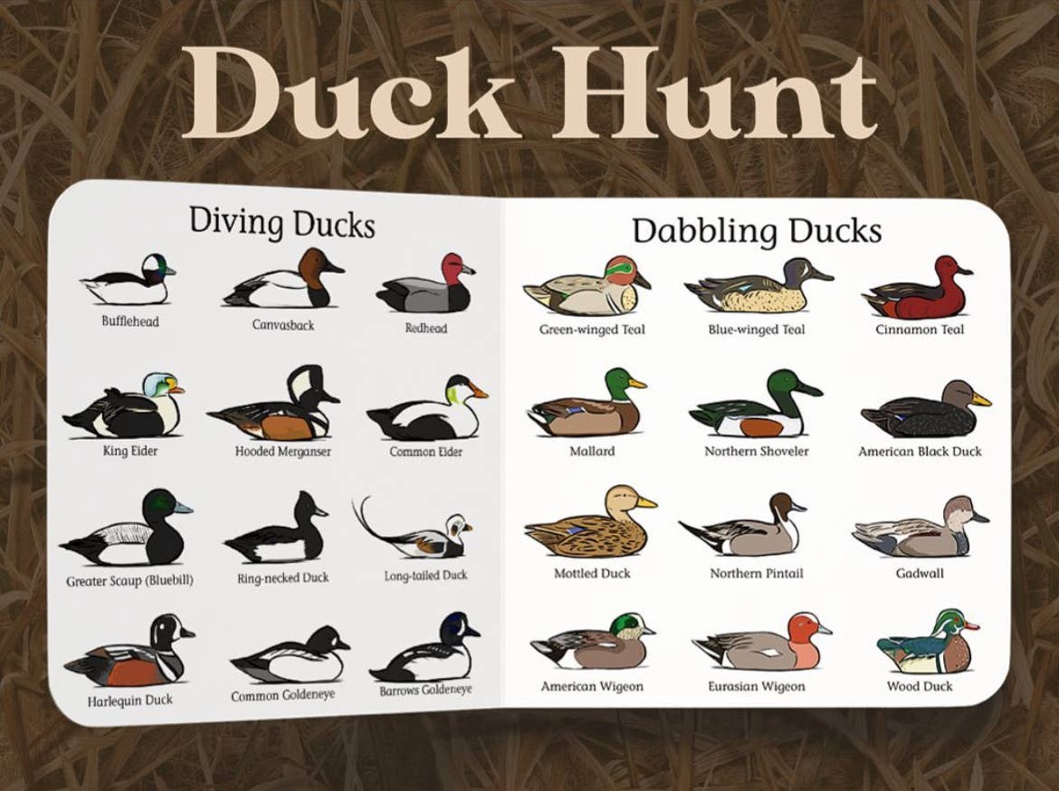 Duck Hunt Children's Book - Image 5