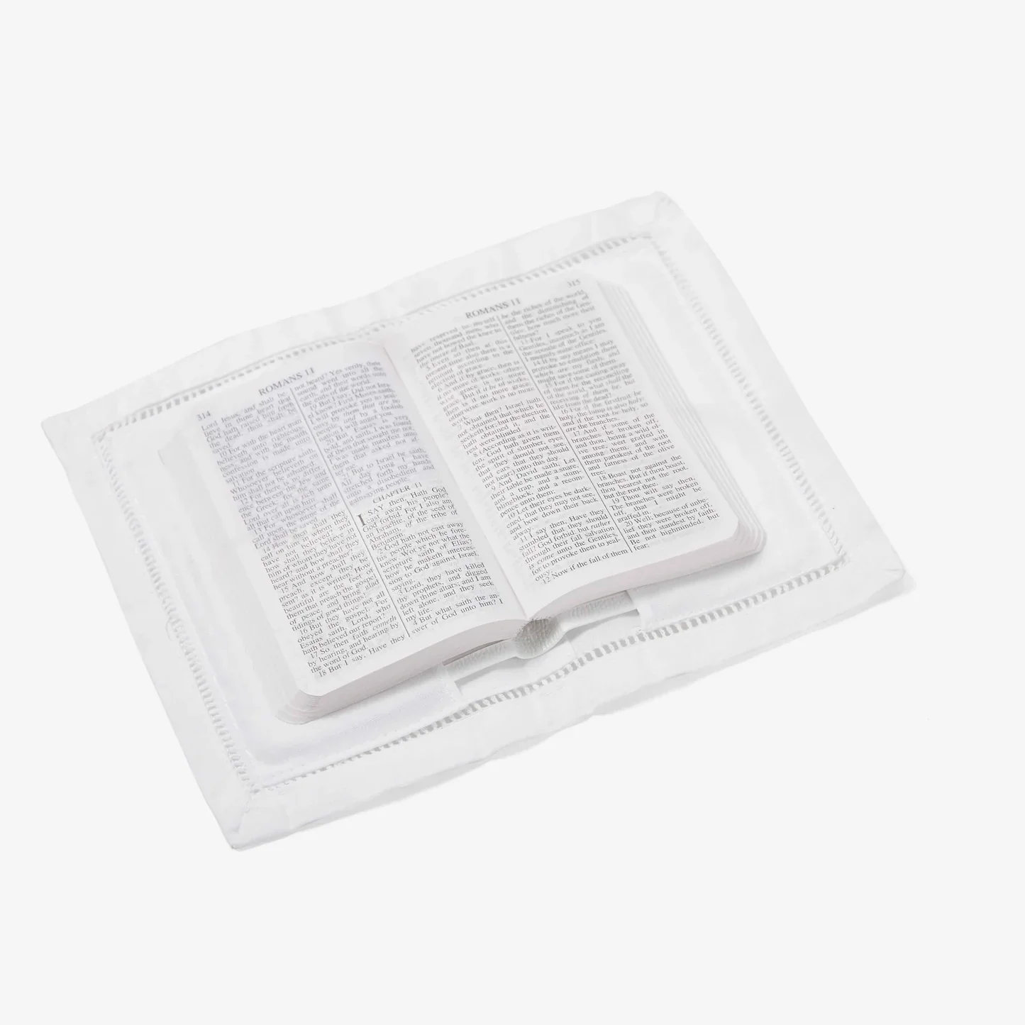 GIFT BOXED HEIRLOOM BIBLE - Image 3