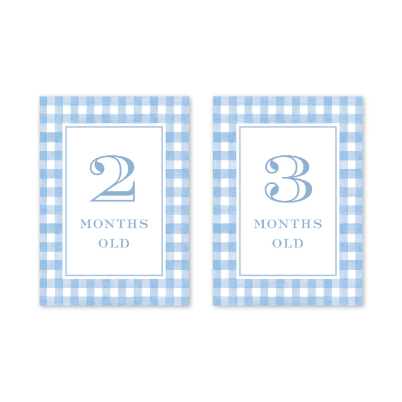 GINGHAM BLUE BABY MILESTONE CARDS - Image 3