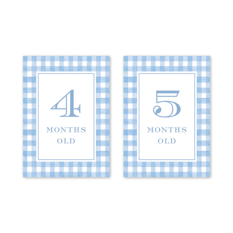 GINGHAM BLUE BABY MILESTONE CARDS - Image 4