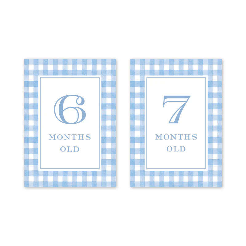 GINGHAM BLUE BABY MILESTONE CARDS - Image 5