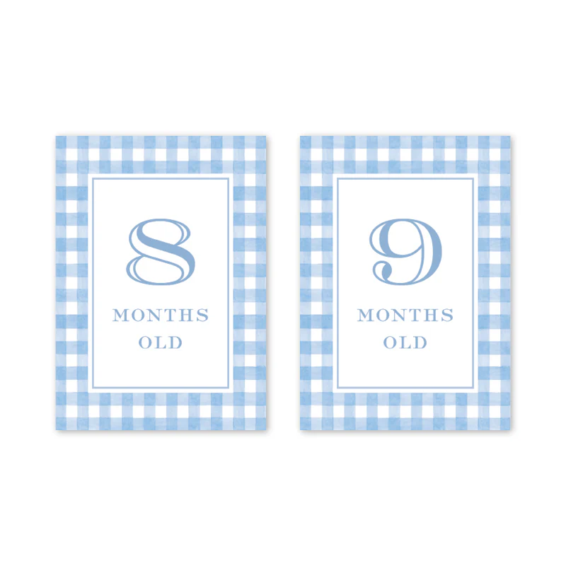 GINGHAM BLUE BABY MILESTONE CARDS - Image 6