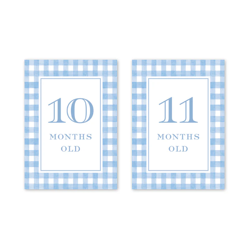 GINGHAM BLUE BABY MILESTONE CARDS - Image 7