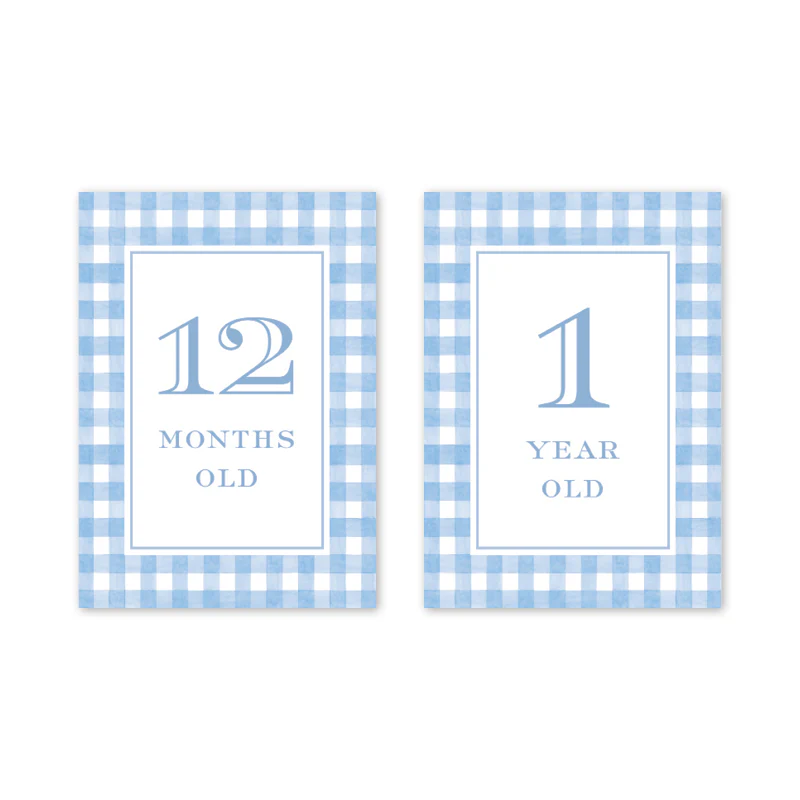 GINGHAM BLUE BABY MILESTONE CARDS - Image 8