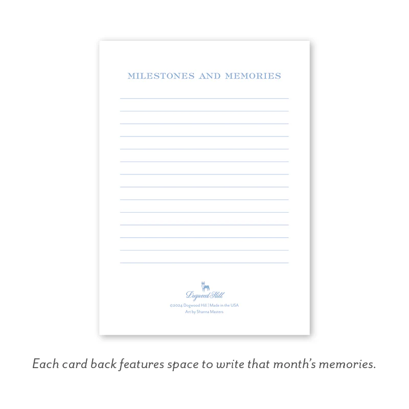 GINGHAM BLUE BABY MILESTONE CARDS - Image 9