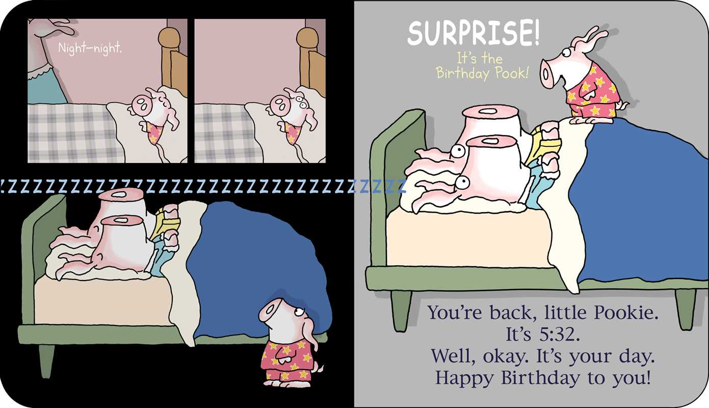 Happy Birthday, Little Pookie by Sandra Boynton: Board Books; 18 pages / English - Image 4