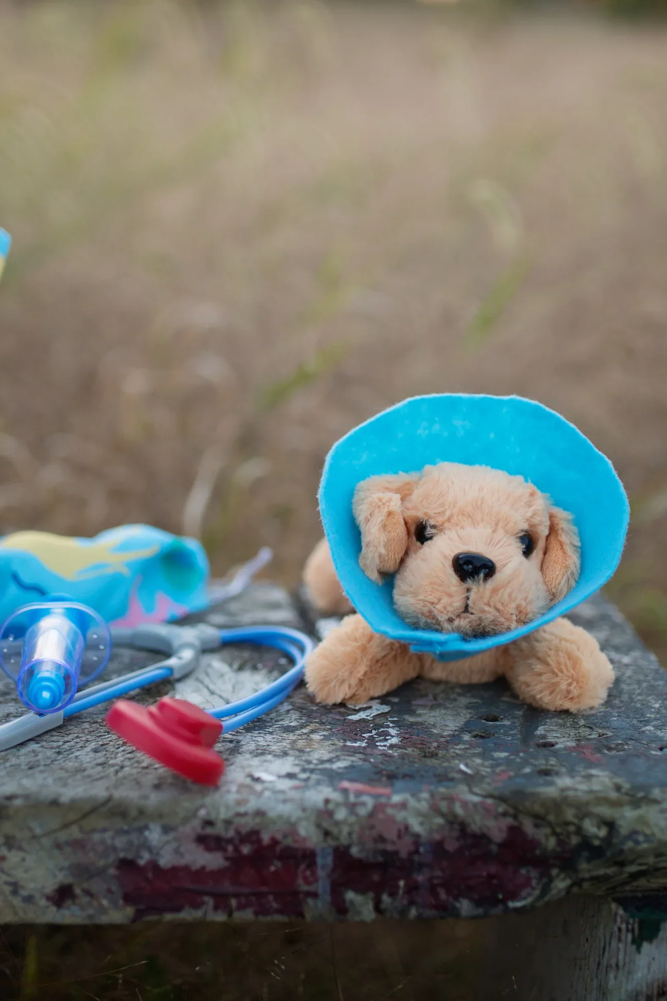 Kid's Dress Up Veterinarian Scrubs with Accessories - Image 8