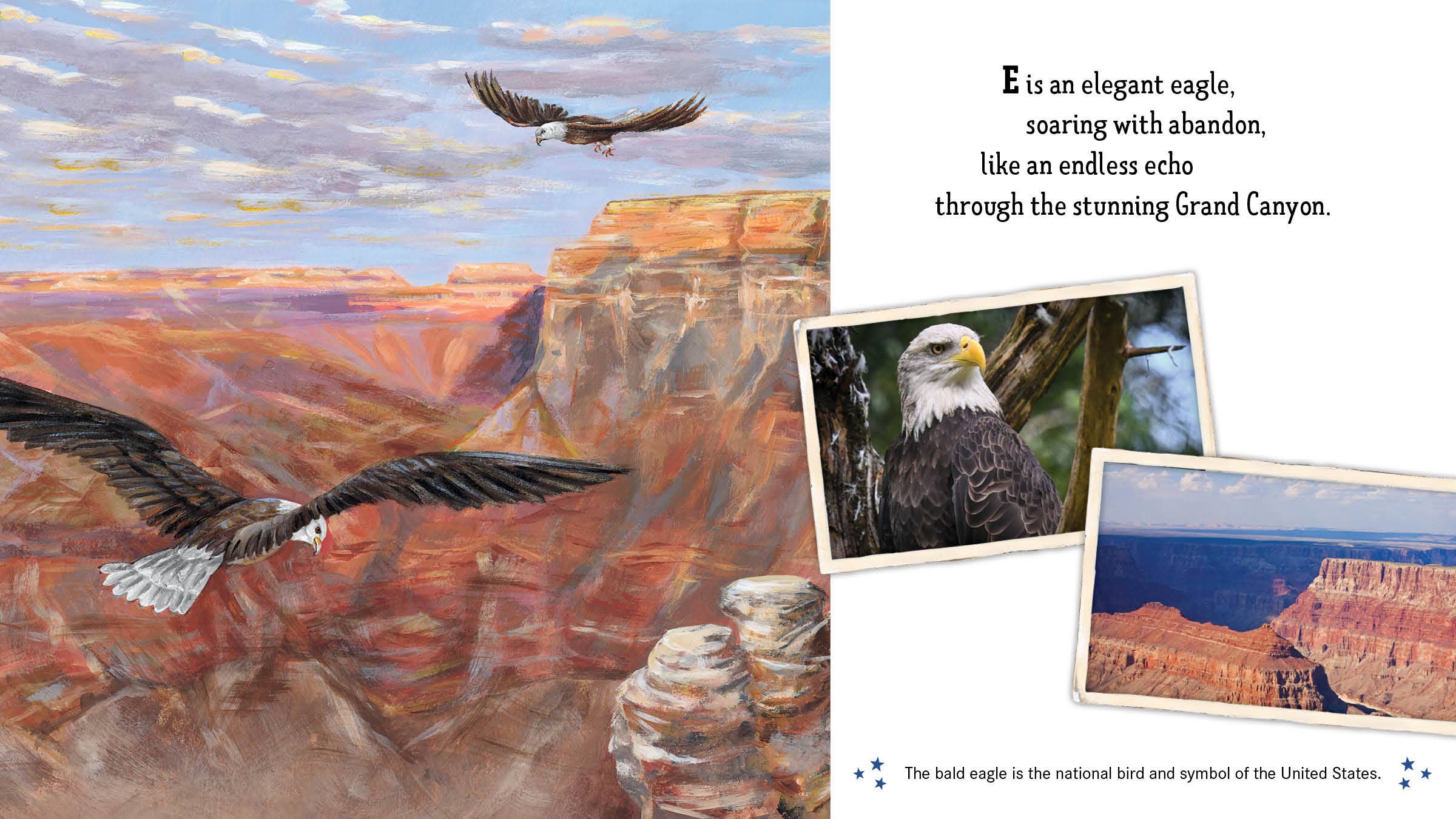 Land of the Free America's ABC Picture Book - Image 3