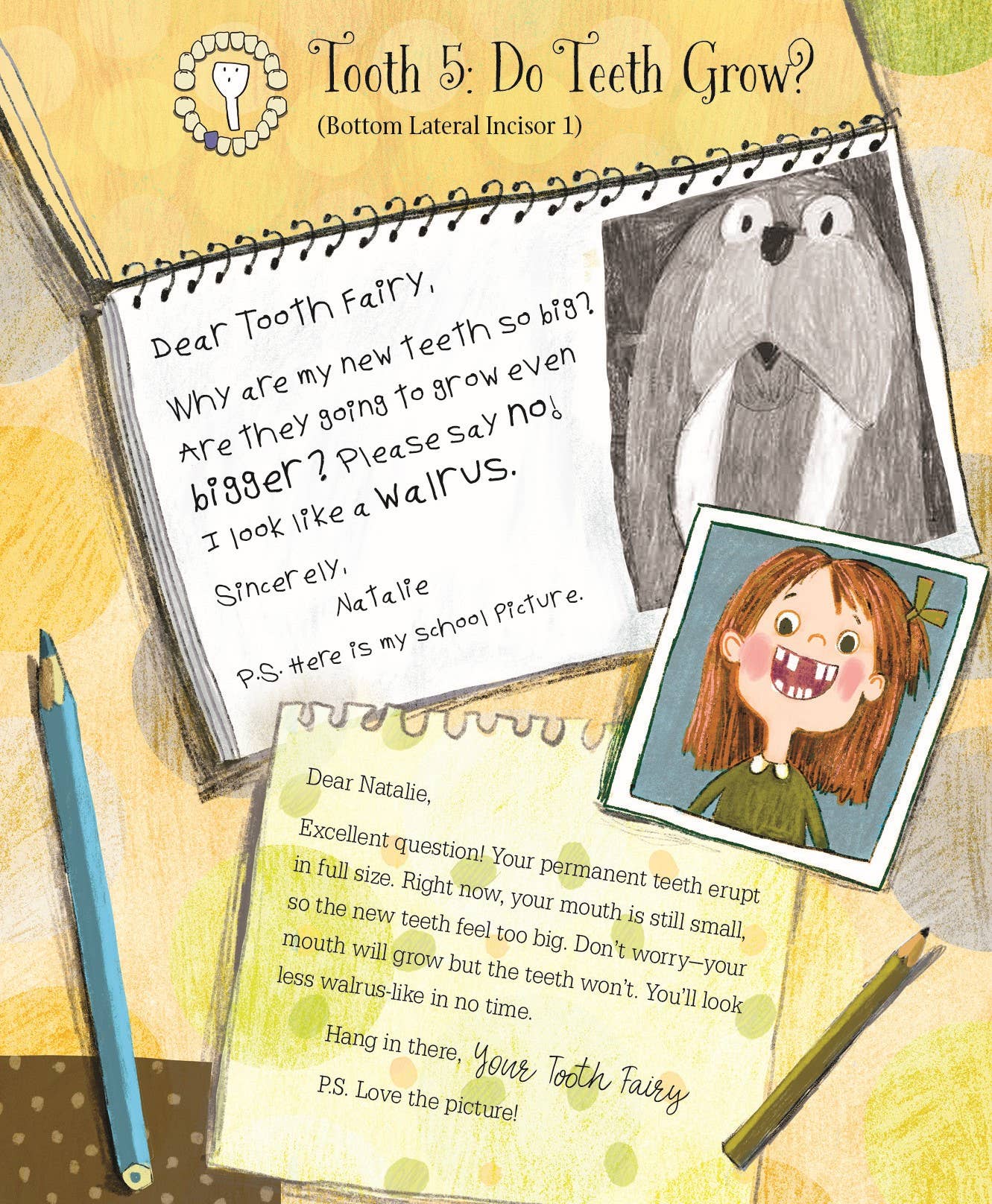 Letters from My Tooth Fairy Picture Book - Image 3