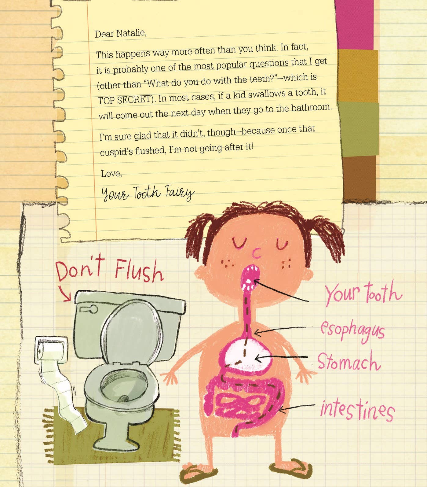 Letters from My Tooth Fairy Picture Book - Image 5