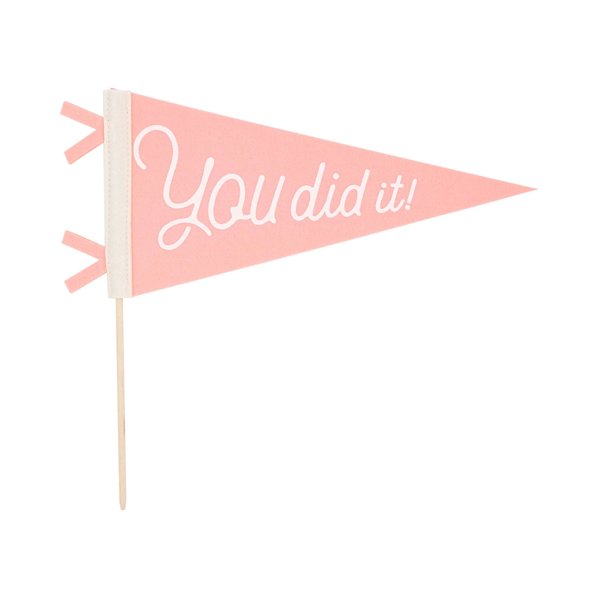PLHB148 - Pink You Did It Felt Pennant Banner - Image 2