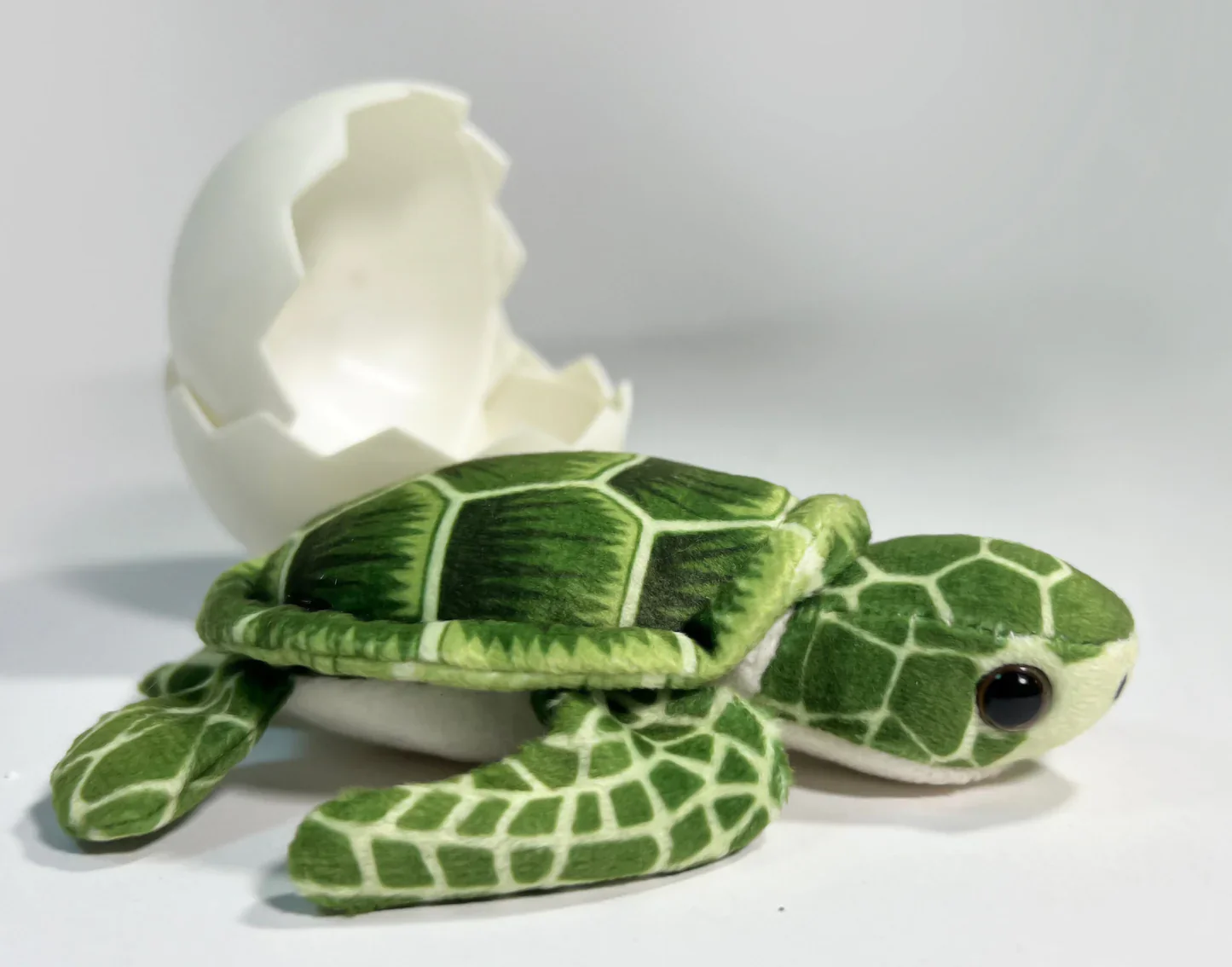 Sea Turtle Hatchling Individual Eggs - Image 3