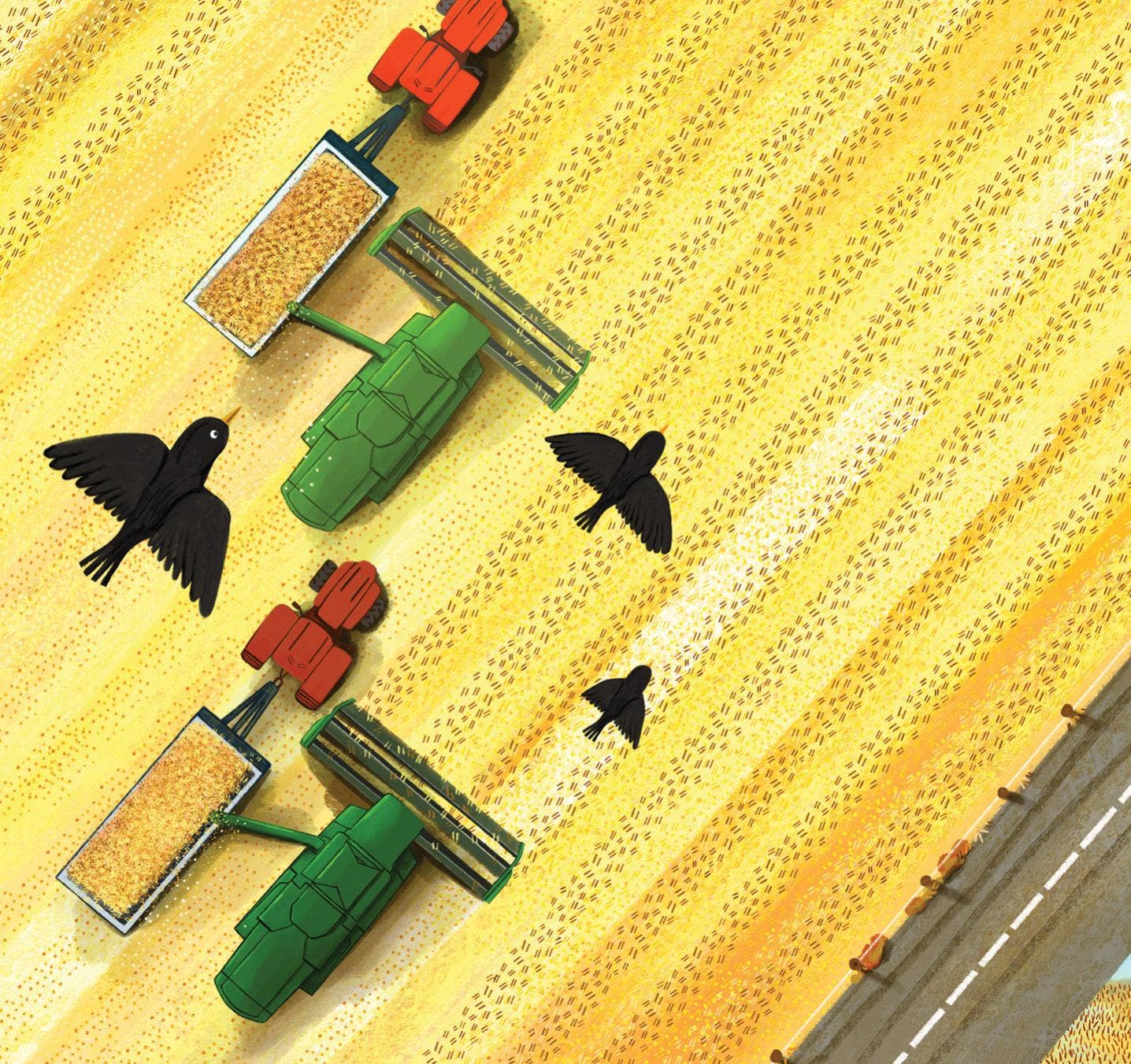 Seasons on the Farm Picture Book - Image 4