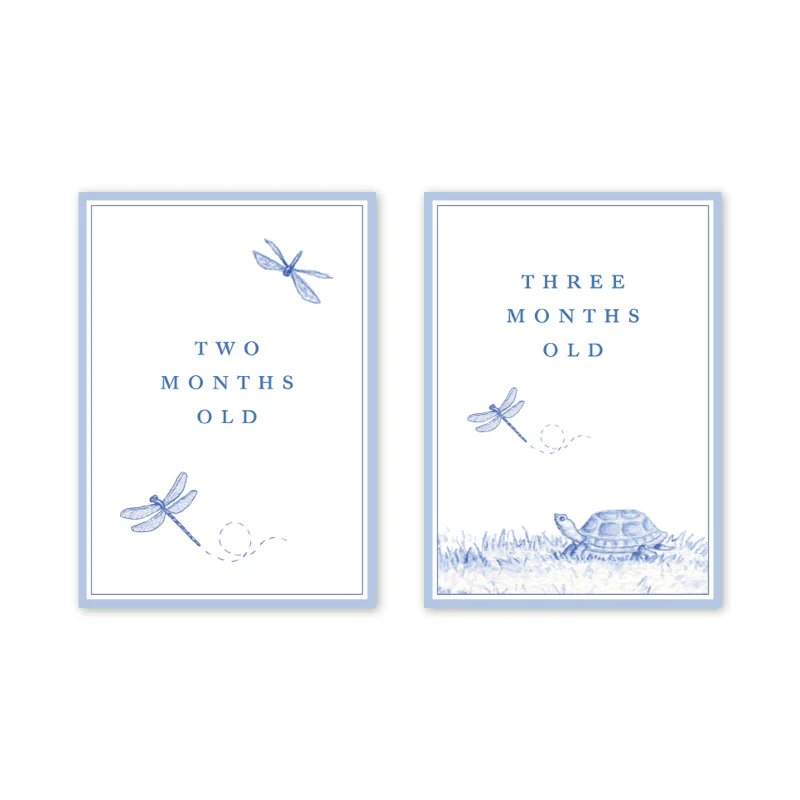 SNIPS AND SNAILS BABY MILESTONE CARDS - Image 3