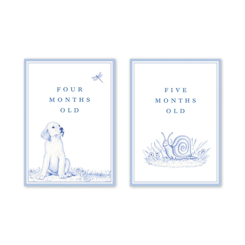 SNIPS AND SNAILS BABY MILESTONE CARDS - Image 4