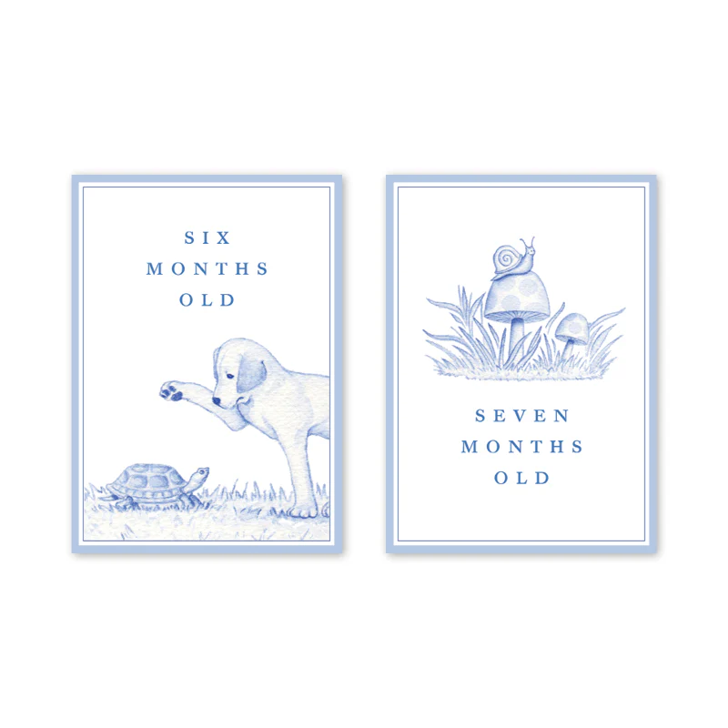 SNIPS AND SNAILS BABY MILESTONE CARDS - Image 5