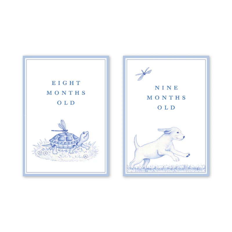 SNIPS AND SNAILS BABY MILESTONE CARDS - Image 6