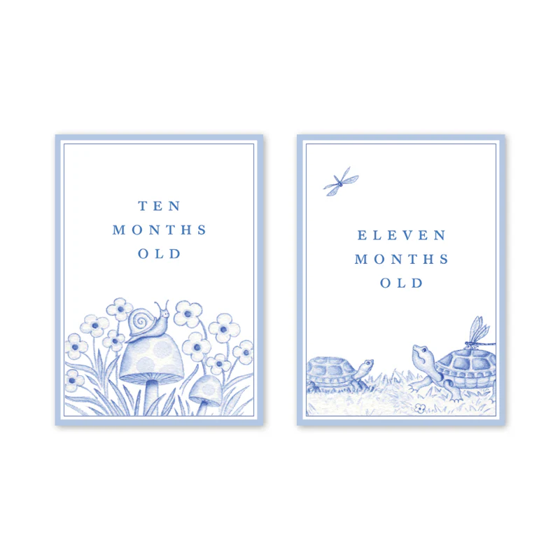 SNIPS AND SNAILS BABY MILESTONE CARDS - Image 7