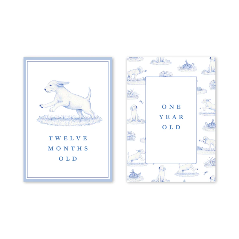 SNIPS AND SNAILS BABY MILESTONE CARDS - Image 8