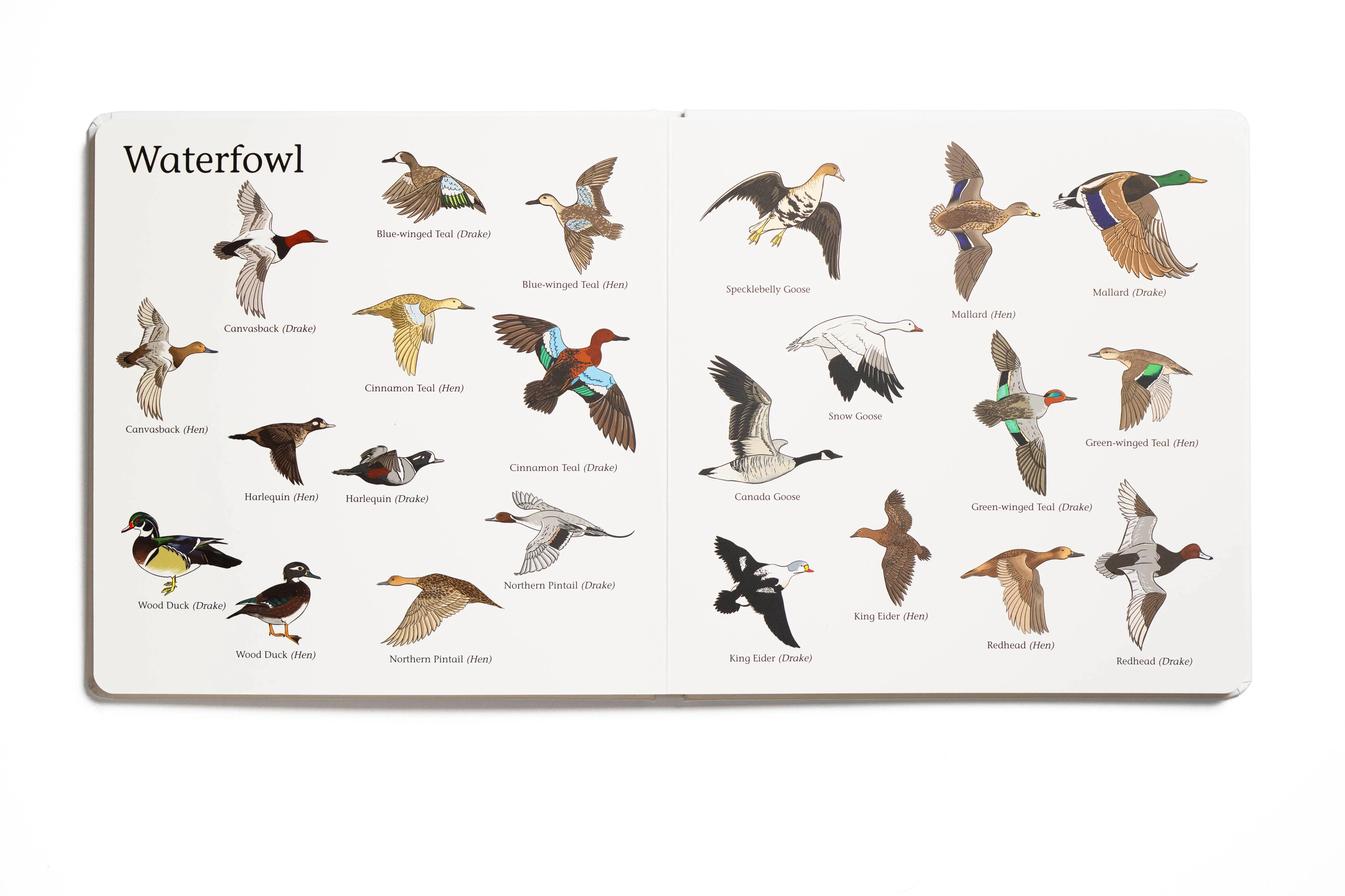 The Big Book of Hunting - Image 4