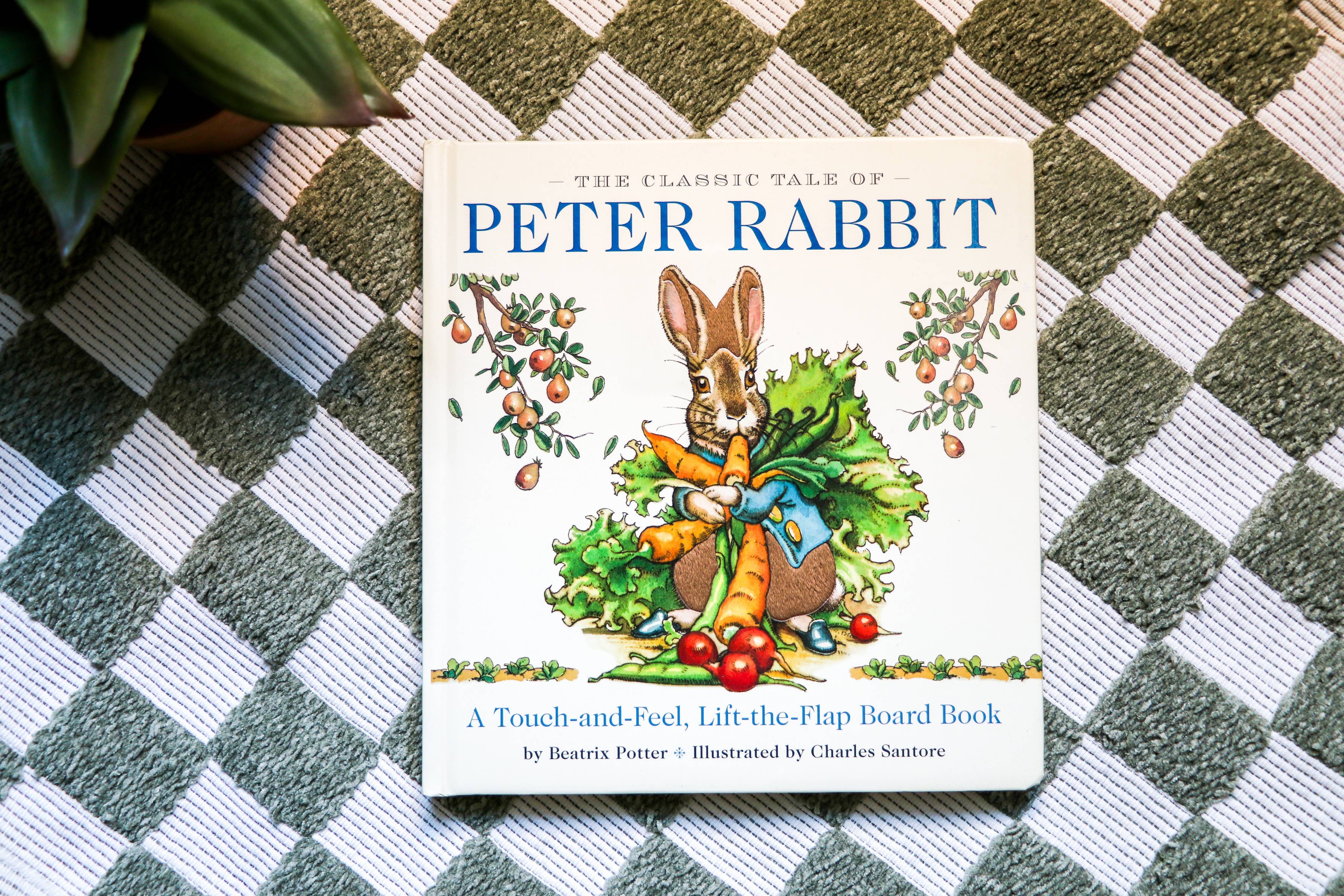 The Classic Tale of Peter Rabbit Touch and Feel Board Book - Image 2
