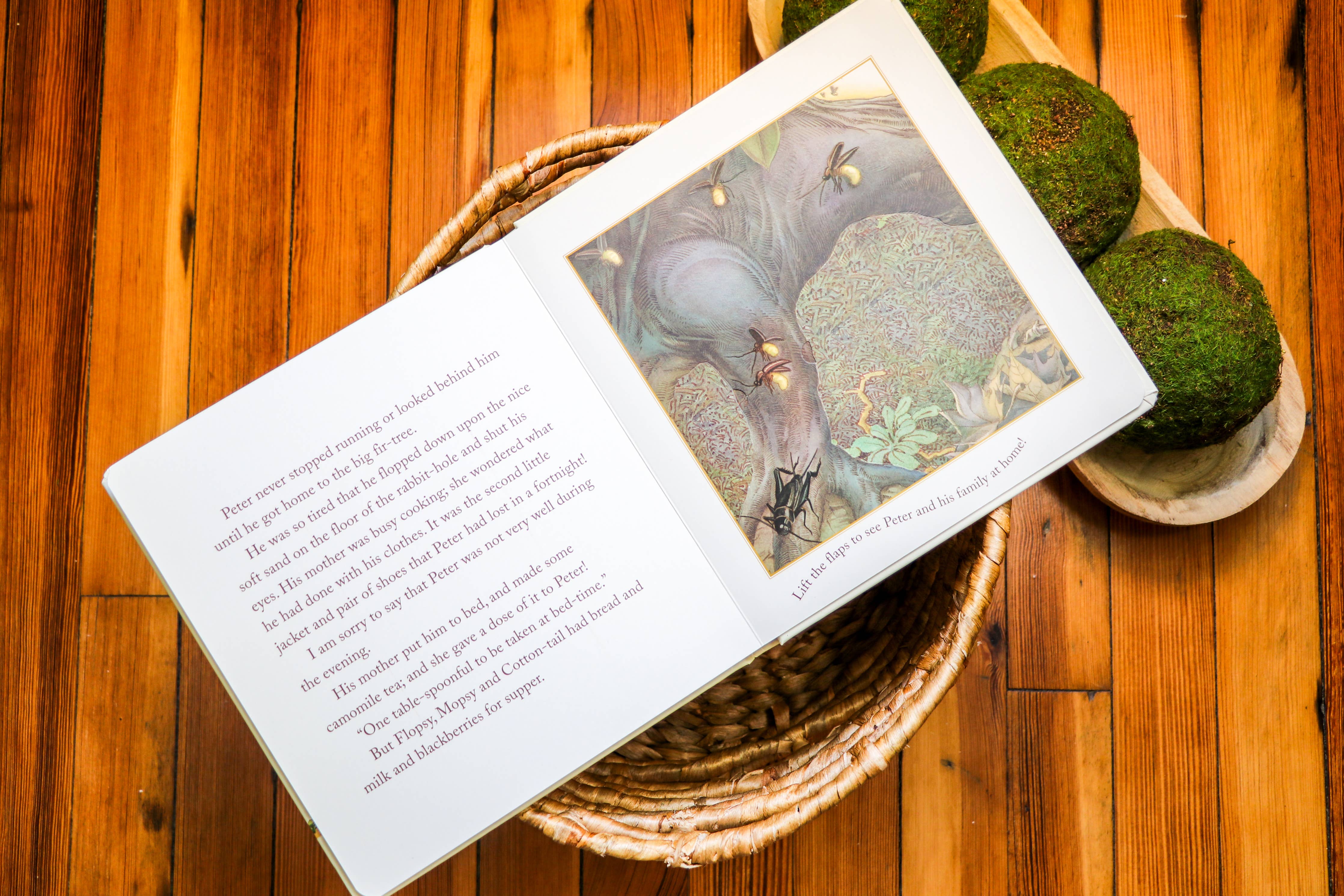 The Classic Tale of Peter Rabbit Touch and Feel Board Book - Image 6