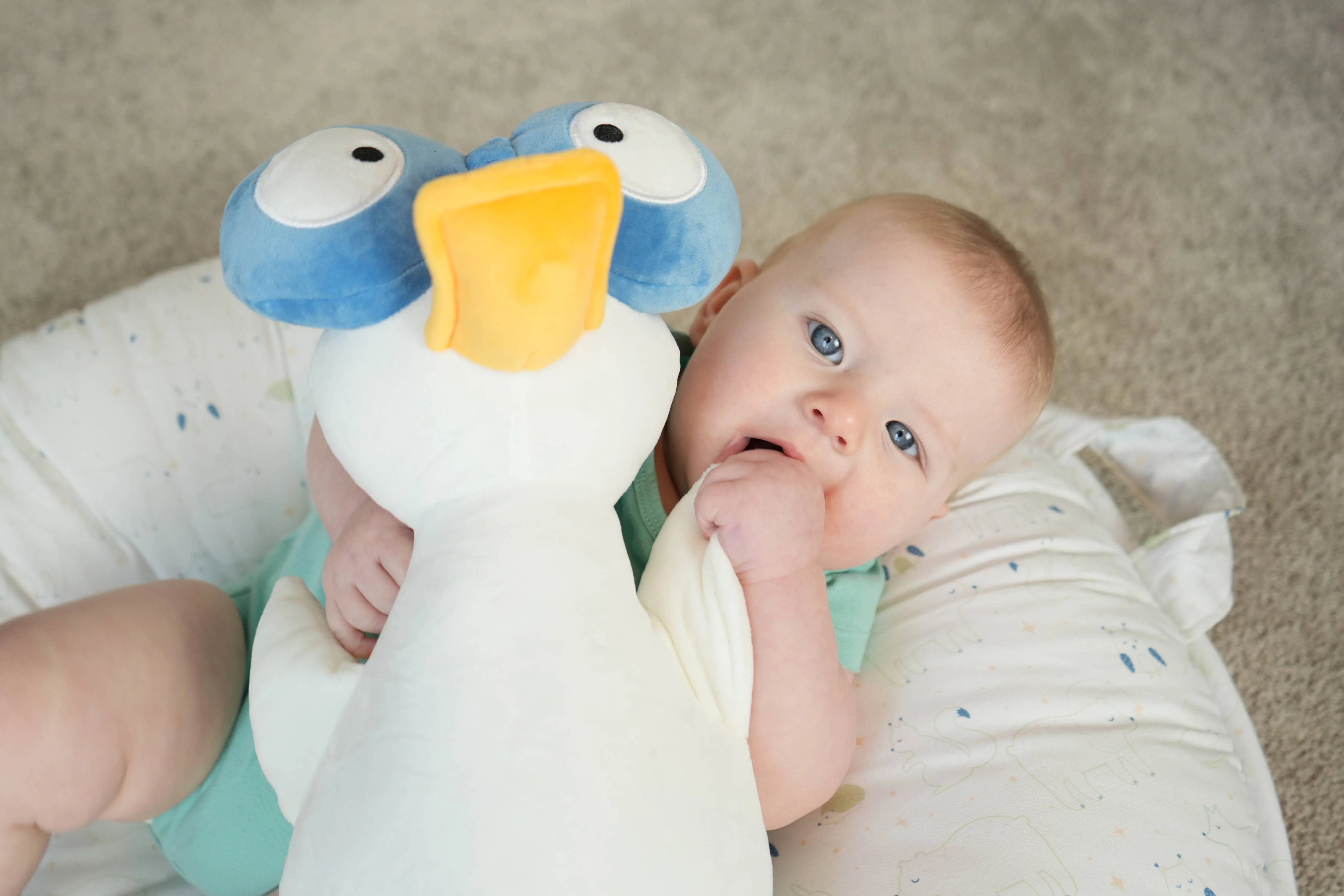 Waddles the Goose Plush - Image 3