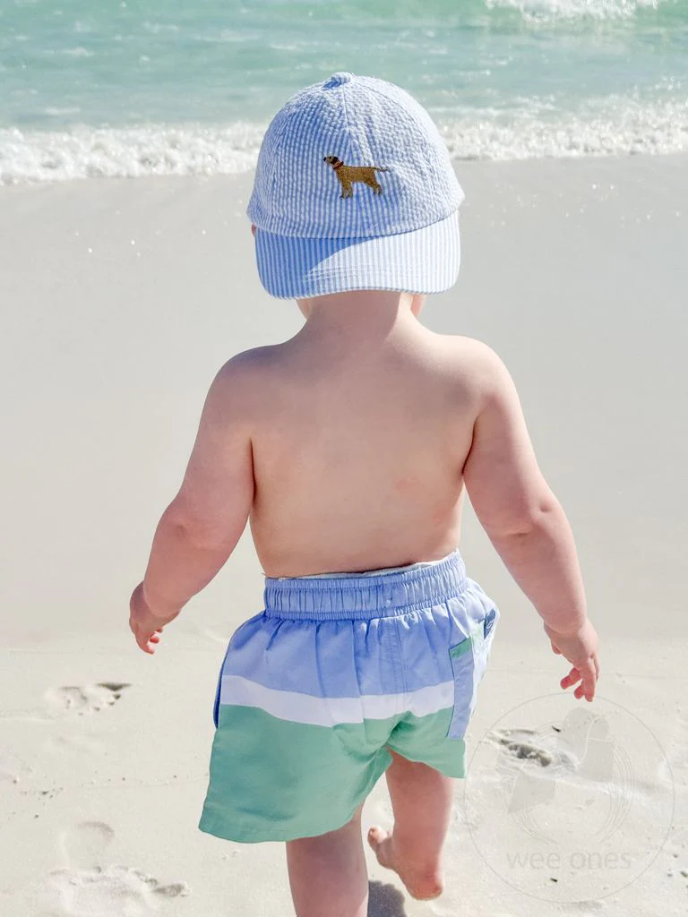 Wee Ones Boys Embroidered Dog Seersucker Ball Cap- Kids - Image 3