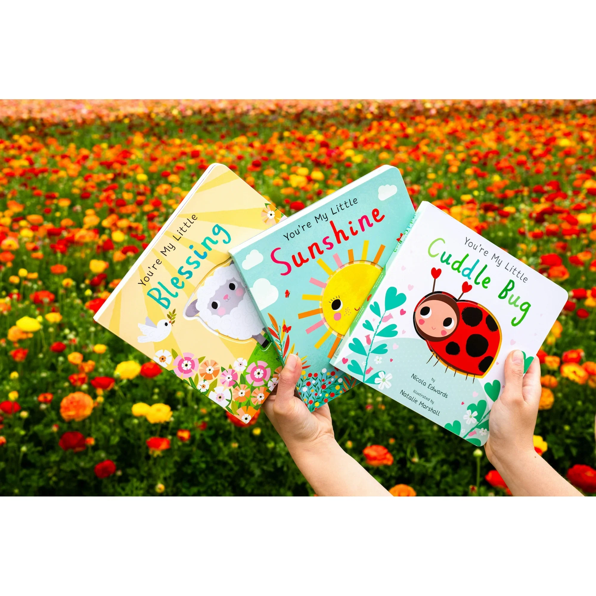 You're My Little Cuddle Bug (Board Book) - Image 6