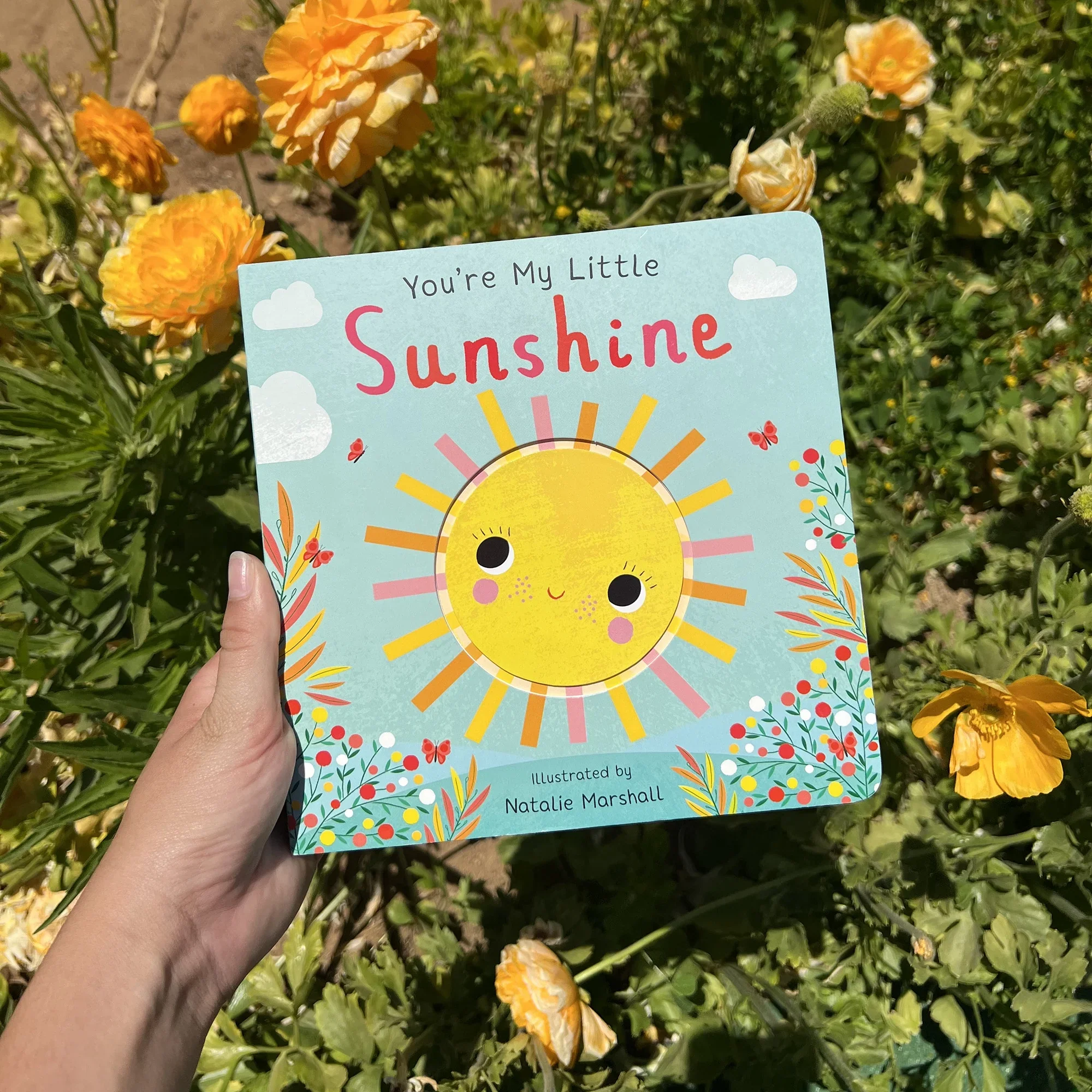 You're My Little Sunshine (Board Book) - Image 5